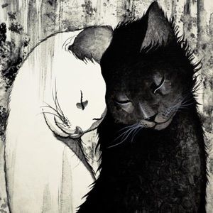 Meet your Posher, Jami